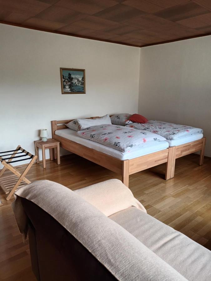 Buedingen-Ferienwohnung Bausch Extérieur photo