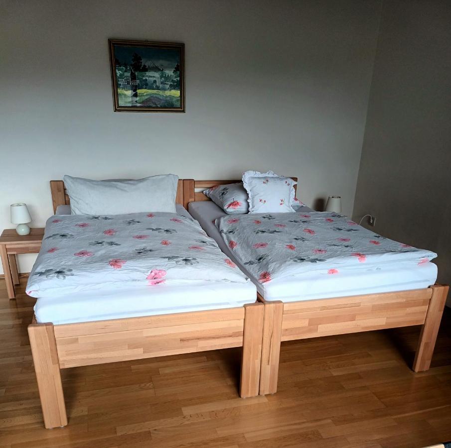 Buedingen-Ferienwohnung Bausch Extérieur photo